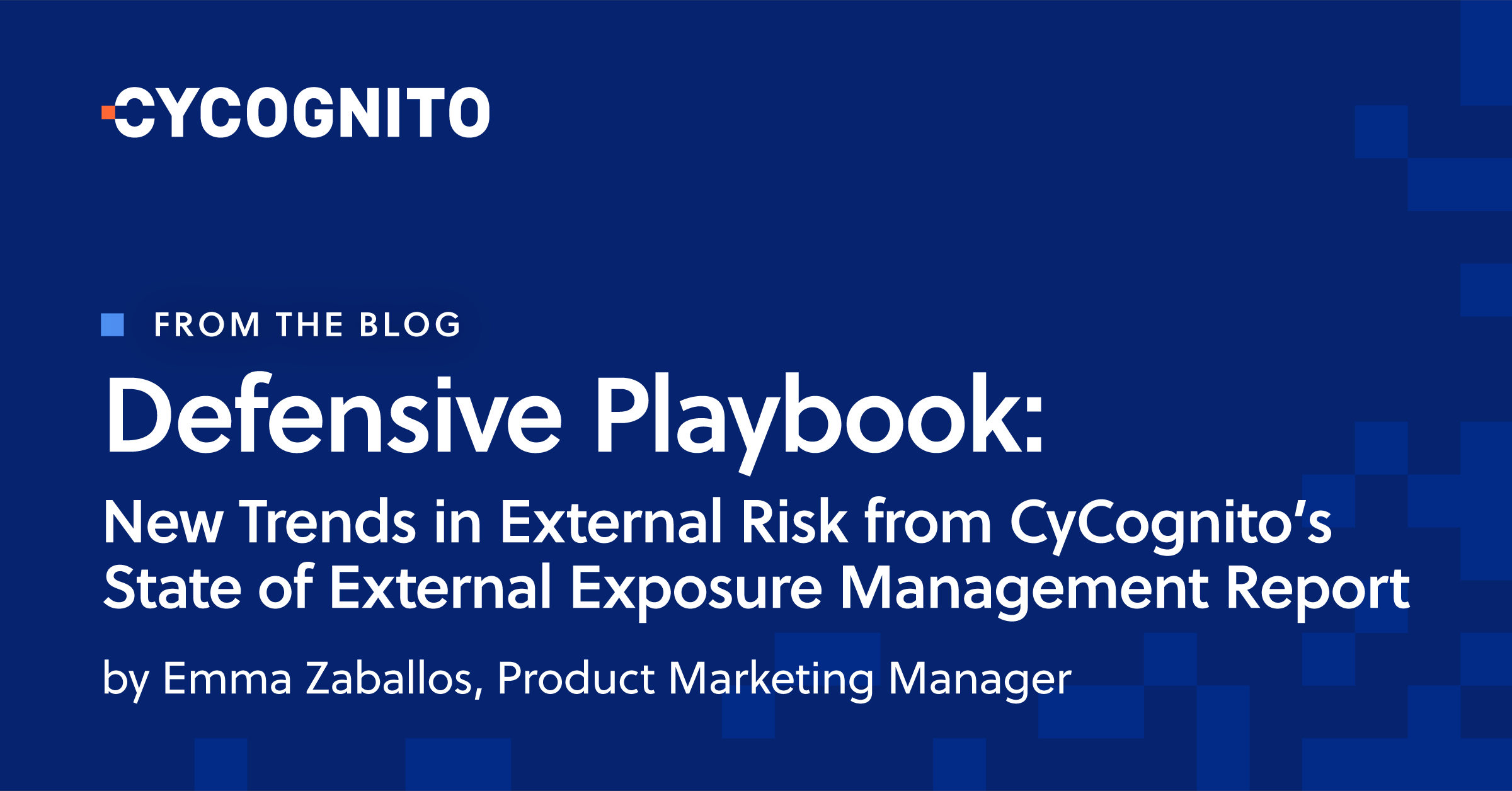 Defensive Playbook: Understanding New Trends in External Risk with ...